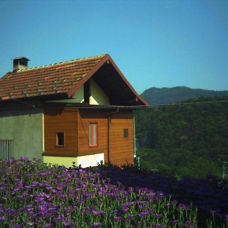 B&B Cip E Ciop Miazzina Esterno foto