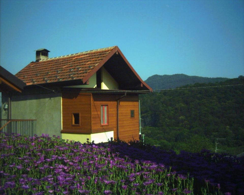 B&B Cip E Ciop Miazzina Esterno foto