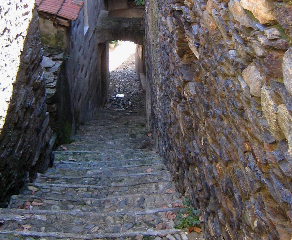 B&B Cip E Ciop Miazzina Esterno foto